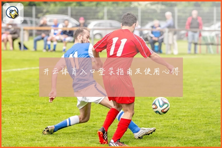 开云体育入口登录指南及使用心得